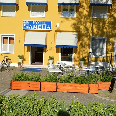 Hotel Amelia-2