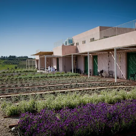 La Foresteria Planeta Wine Resort & Beach Club-3