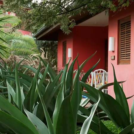 Morena Resort-3