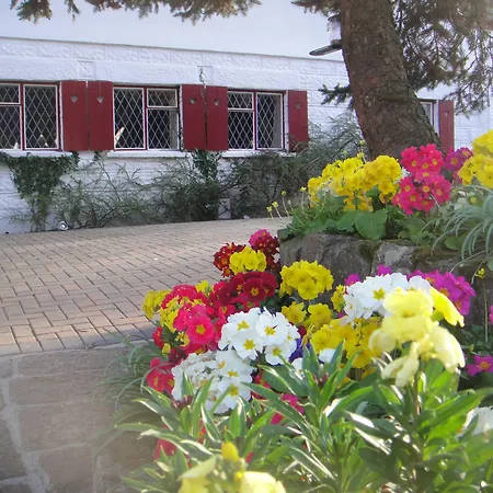 Undercliff Guest House-3