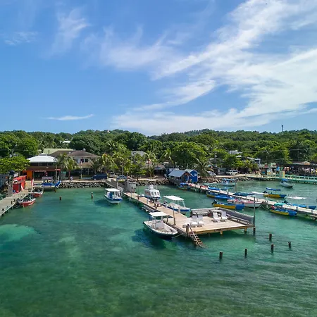 Splash Inn Dive Resort & Villas-2