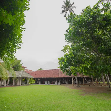 The Palms-2