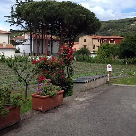 Hotel Casa Lupi-2