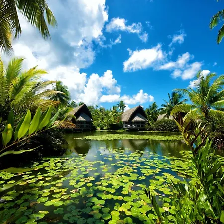 Maitai Lapita Village Huahine-3