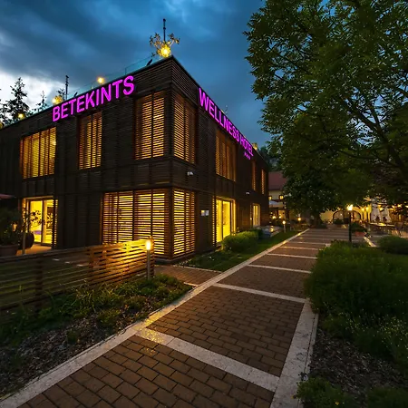Betekints Wellness Hotel-3