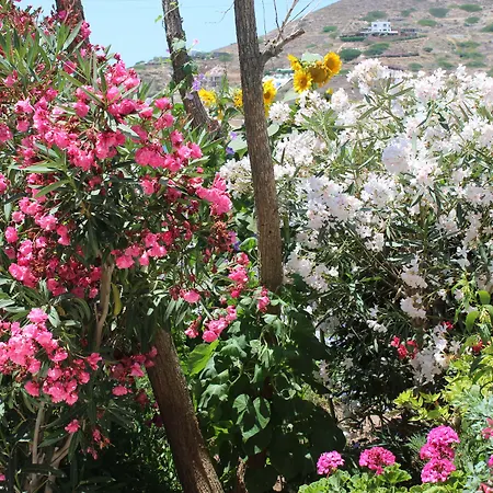 Mare Monte-2