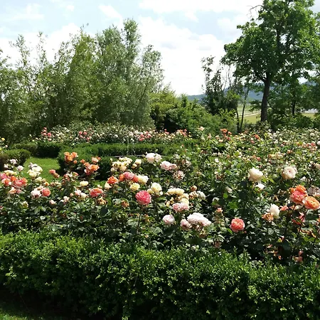 Borgo Ramezzana Country House-2