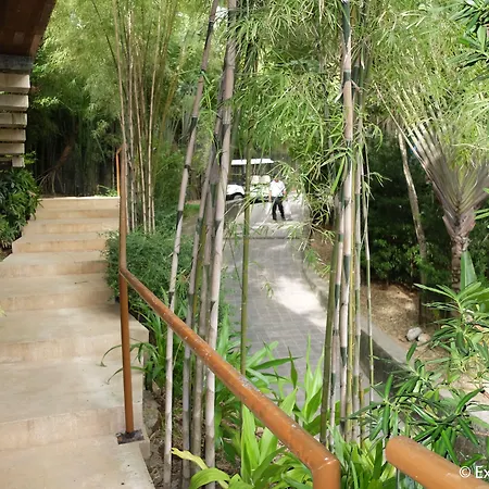 Asya Premier Suites-3