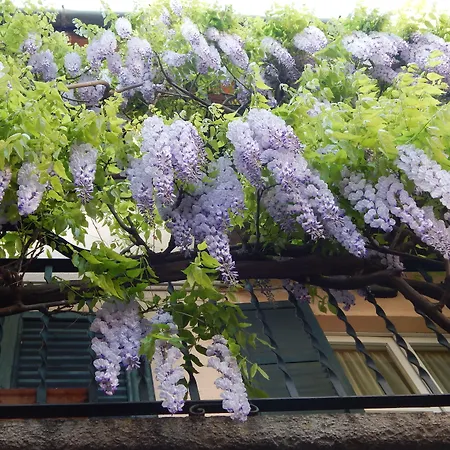 Mamma Ciccia-3