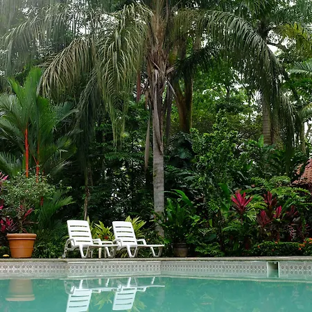 Hotel La Palapa Eco Lodge Resort-2