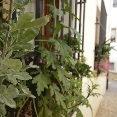 Hostal La Fonda Grupo Terra de Mar, alojamientos con encanto-3