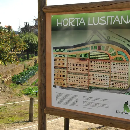 Hotel Lusitania Congress & Spa-3
