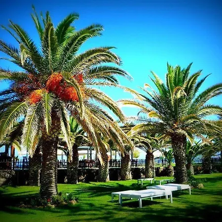 Minos Mare Royal-2