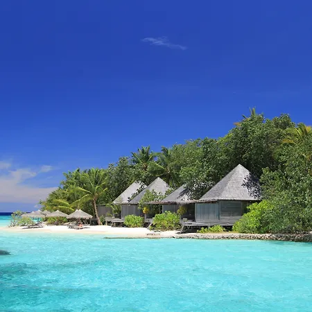 Gangehi Island Resort & Spa-3