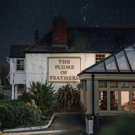 The Plume Of Feathers-2