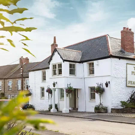 The Plume Of Feathers-2