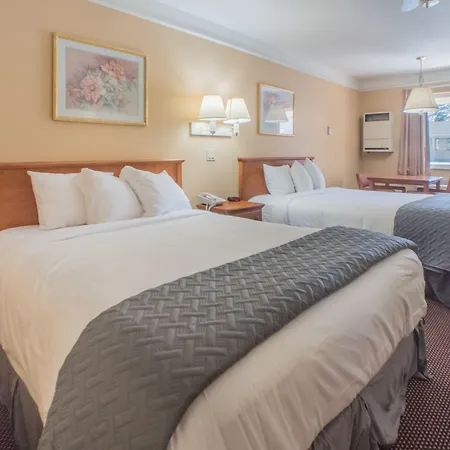 Shasta Pines Motel & Suites-3