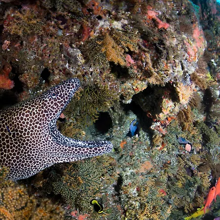 Machangulo Beach Lodge-3