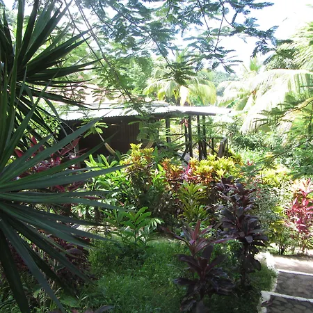 Hibiscus Valley Inn-3