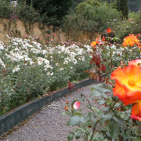 Pestana Quinta Do Arco Nature & Rose Garden Hotel-3