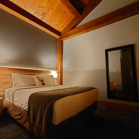 Timberland Inn-2