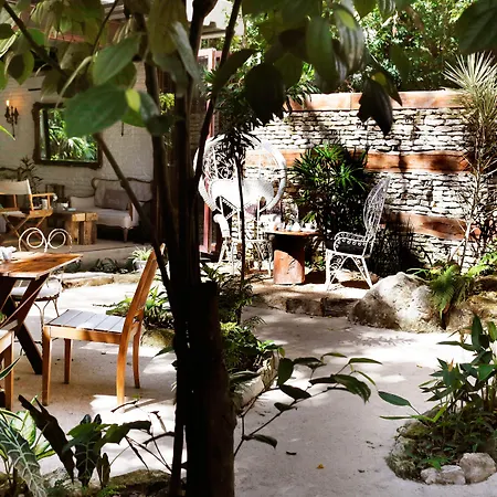 Hotel La Semilla A Member Of Design Hotels (Adults Only)-2