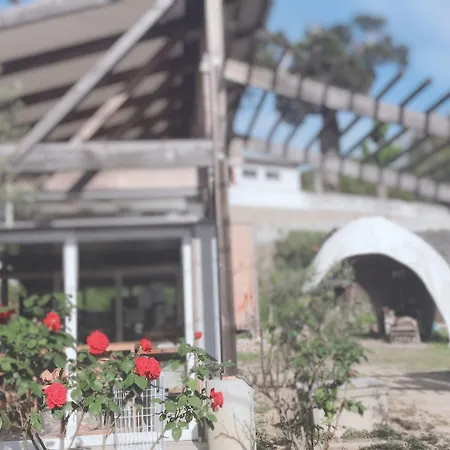 Shodoshima International Hotel-2