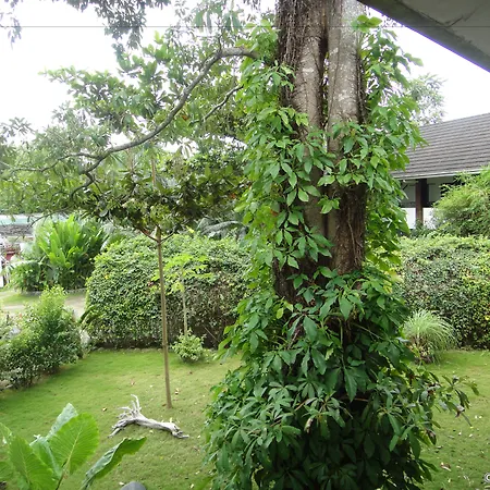 Balay Tuko Garden Inn-2