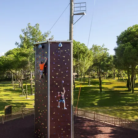 Regnum Carya-2