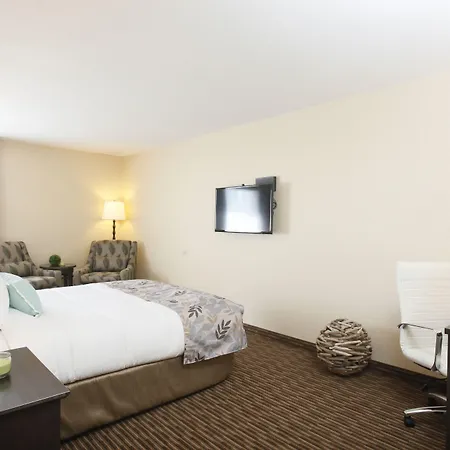 Pomeroy Inn & Suites At Olds College-2