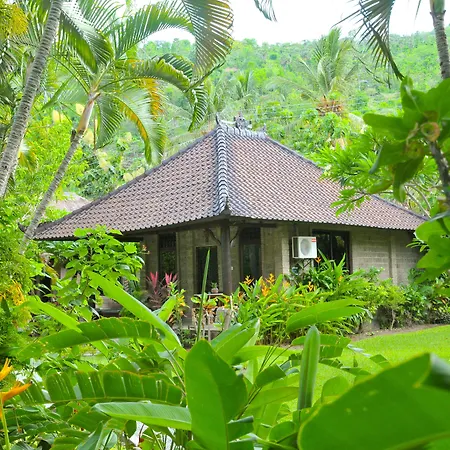 Coral View Villas-2