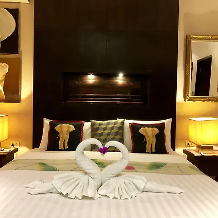 Baipho Lifestyle-3