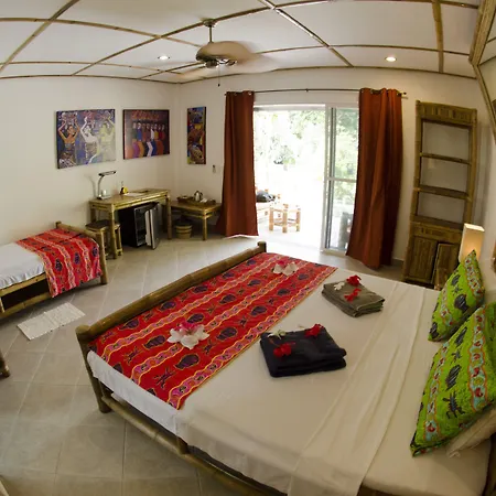 Dolphin House Resort Moalboal-2