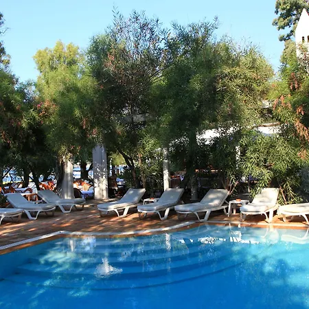 Okaliptus Otel-2