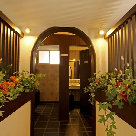 Hotel La Fuente, Saltillo-3