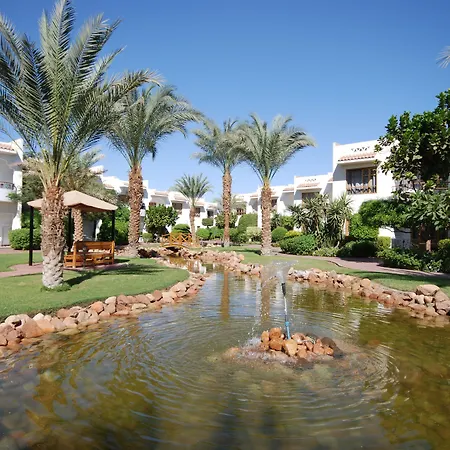 Dive Inn Resort-2