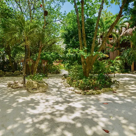 Xanadu Island Resort-2