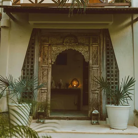 Jashita Hotel (Adults Only)-2