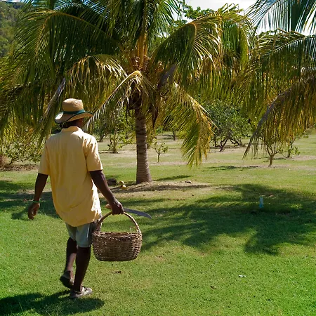 Firefly Estate Bequia-3