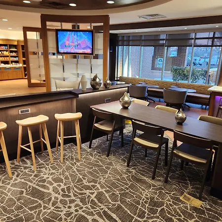 Springhill Suites By Marriott Dallas Lewisville-3