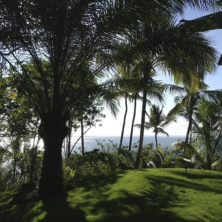 Nirvana Beach Hotel-2