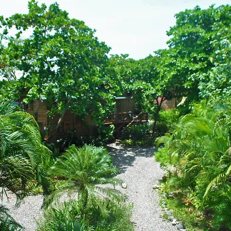 Cocolobo Resort-3