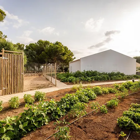 Lago Resort Menorca - Villas&Bungalows del Lago-3