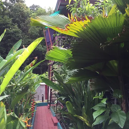 T Star Cottage Langkawi-2