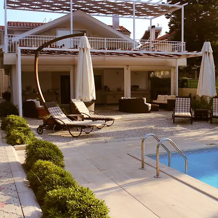 Arp Dalyan-2