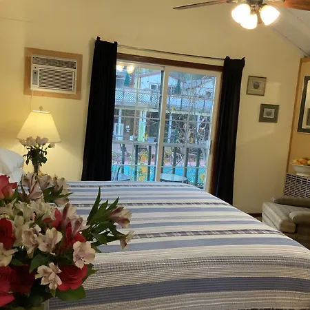 The Woods Hotel - Gay Lgbtq Cabins-2