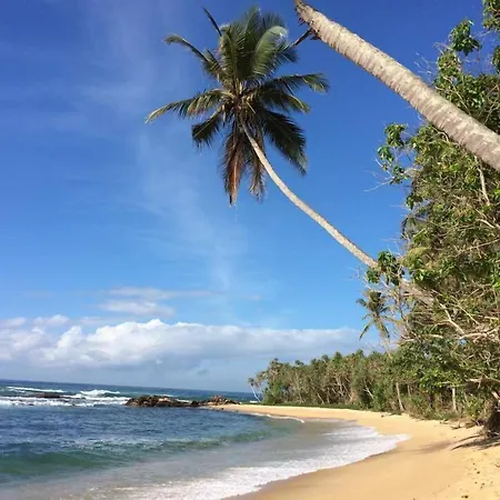Eva Lanka Hotel - Beach&Wellness-3