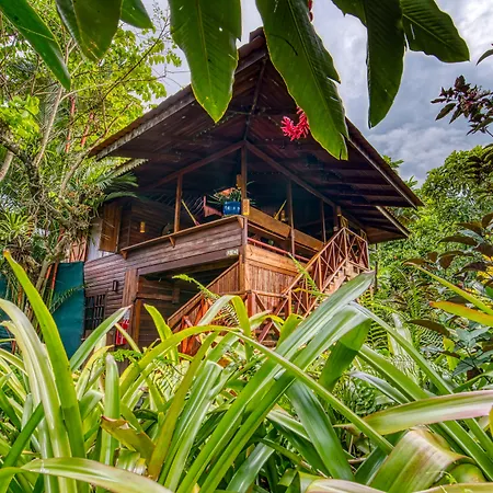 Hotel Banana Azul - Adults Only-3