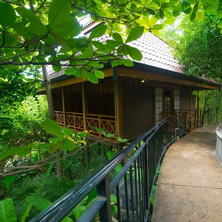 Bodhi Tree Yoga Resort-3