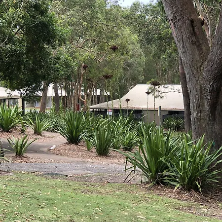 Port Stephens Koala Sanctuary-3